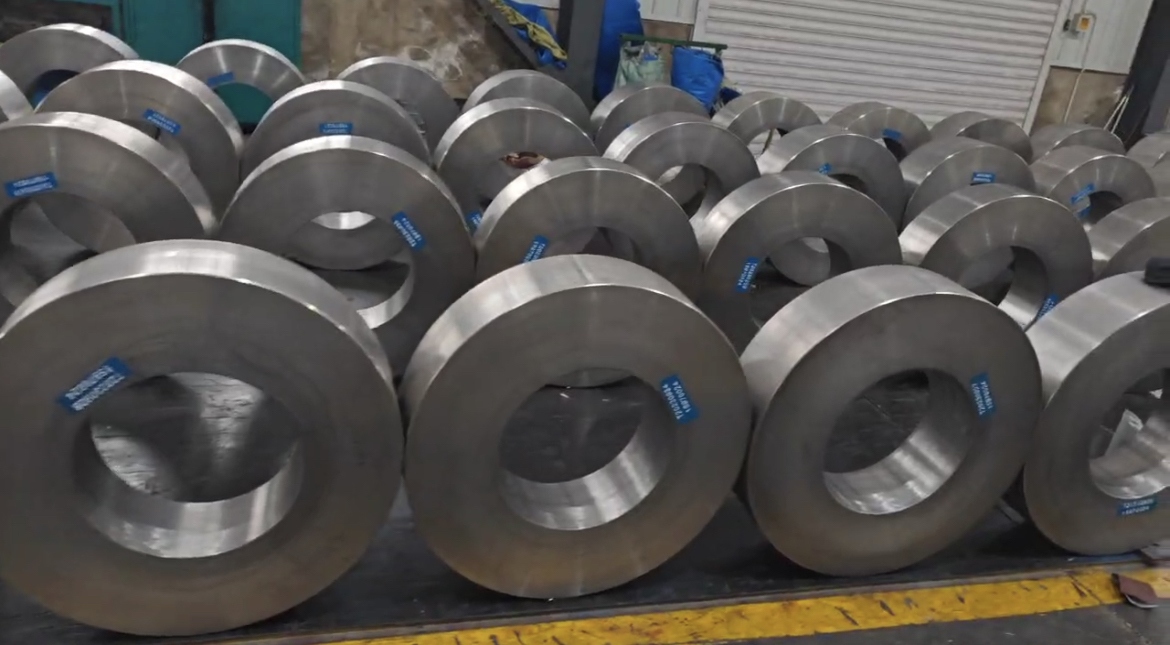 Centrifuge Cast Pearlite Roller Ring